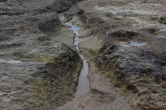 05-Achziv-and-Betzet-Beach-Nov-2021