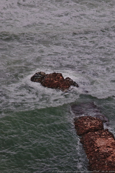 03-Apollonia-National-Park-26-01-2024