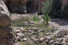 04-Arugot-Wadi-Dead-Sea