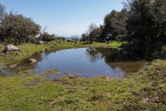 01-Bashanit-Park