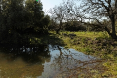 12-Bashanit-Park