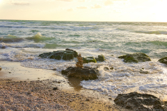 Beach-Walk-With-Nifty-Fifty-0001