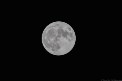 01-Blue-Supermoon-082023