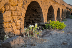 02-Caesarea-Aqueduct-Beach