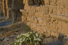 04-Caesarea-Maritima-Aqueduct