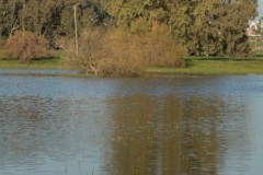 1_MG_0053