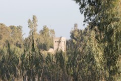 1_MG_0077