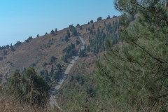 6d_MG_0003-2