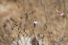 6d_MG_0048