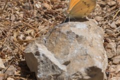 6d_MG_0053-2