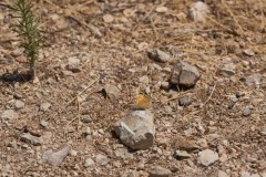6d_MG_0053