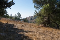80d_MG_0011