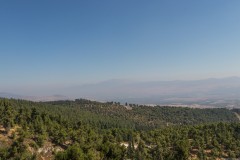 80d_MG_0026