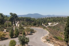 80d_MG_0059