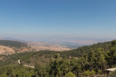 80d_MG_0060