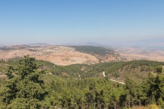 80d_MG_0061