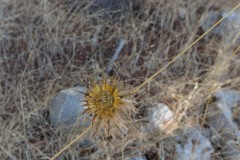 6d_MG_0005-2