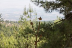 6d_MG_0045