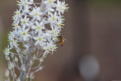 MG_0039
