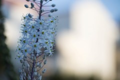 MG_0001-2