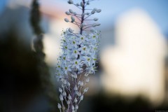 MG_0002