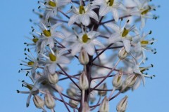 MG_0003-4