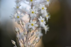 MG_0004