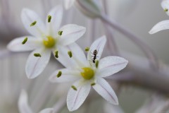 MG_0007-2