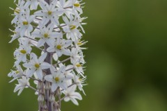 MG_0010-3