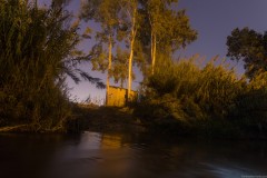 MG_0016
