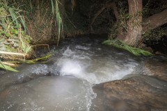 MG_0024