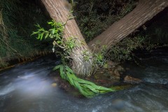 MG_0027