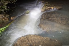 MG_0031