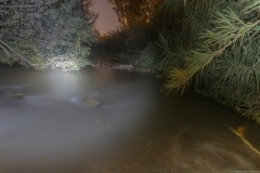 MG_0054