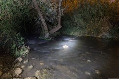 MG_0077