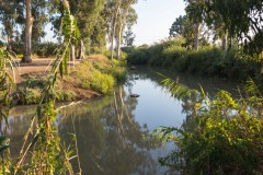 6D_mg_0005