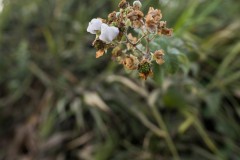 6D_mg_0019