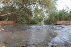 6D_mg_0025-2