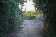 80D_mg_0010