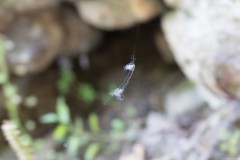 2_MG_0087