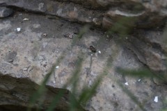 2_MG_0094
