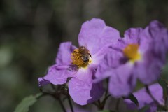 2_MG_0105