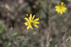2_MG_0119