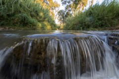 MG_0019