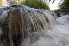 MG_0022