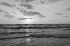 MG_0029-2
