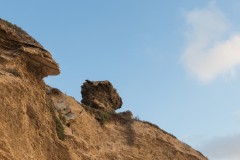 MG_0021-2