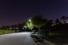 MG_0001