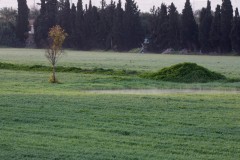 2_MG_0025