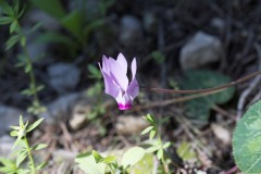 MG_0057